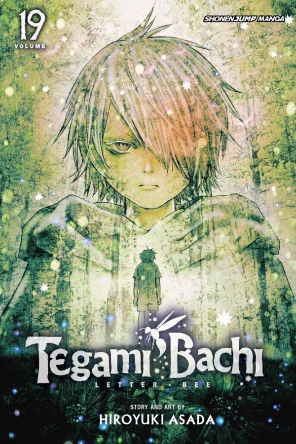 Viz Tegami Bachi GN Vol. 19 Paperback Manga