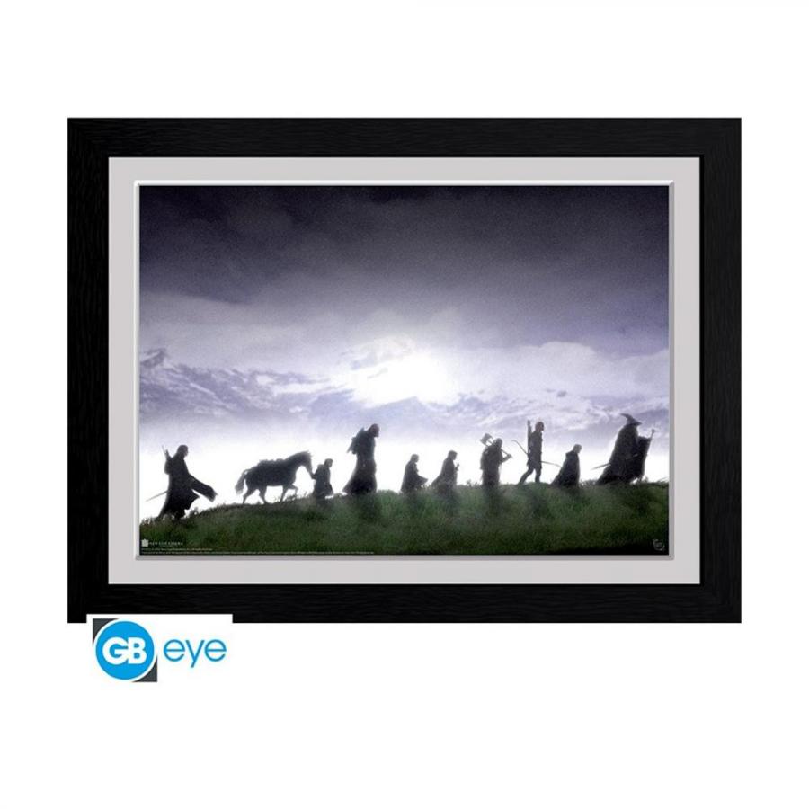 Abysse: The Lord Of The Rings - Fellowship Framed Print (30x40cm) (PFC972)