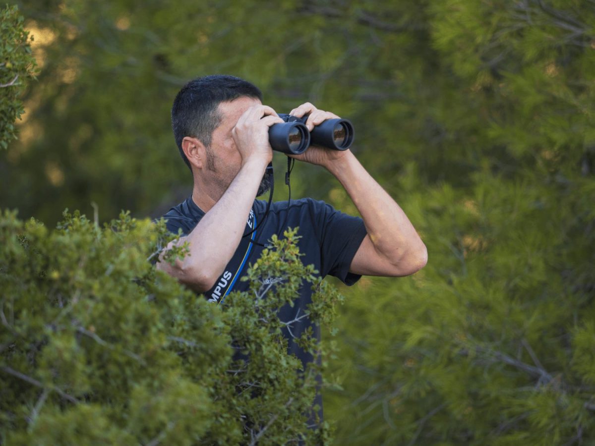 Olympus Binoculars 8-16x40 S incl. Case & Strap