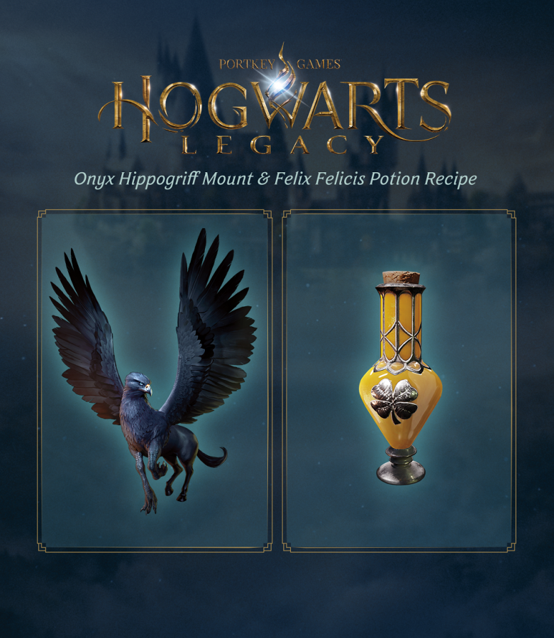 Hogwarts Legacy Collector's Edition PS5 NEW