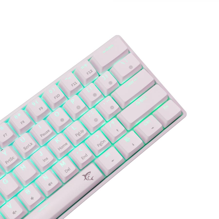 WHITE SHARK GK-004231 SHINOBI-2 MECH KEYBOARD WHITE US BROWN SWITCHES