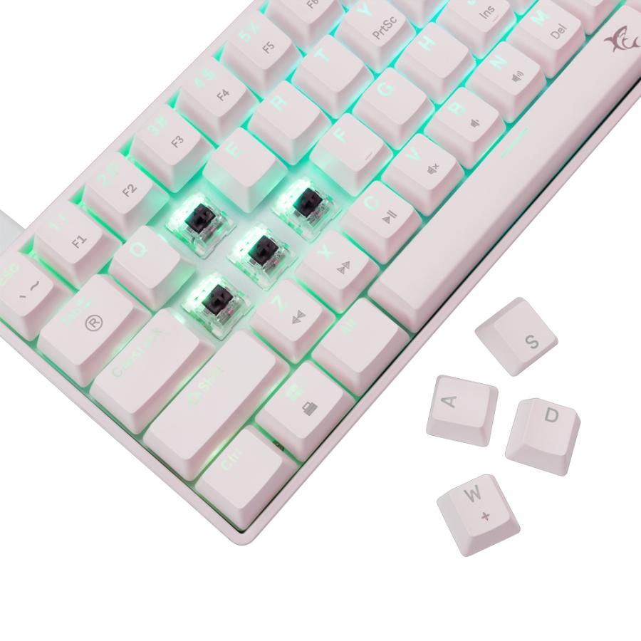 WHITE SHARK GK-004231 SHINOBI-2 MECH KEYBOARD WHITE US BROWN SWITCHES