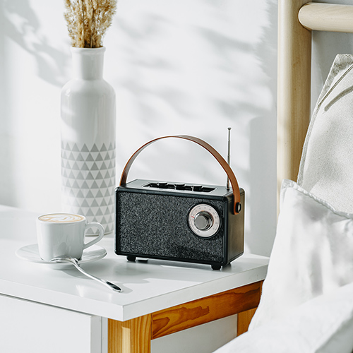 CAMRY BLUETOOTH SPEAKER WITH FM RADIO BLACK