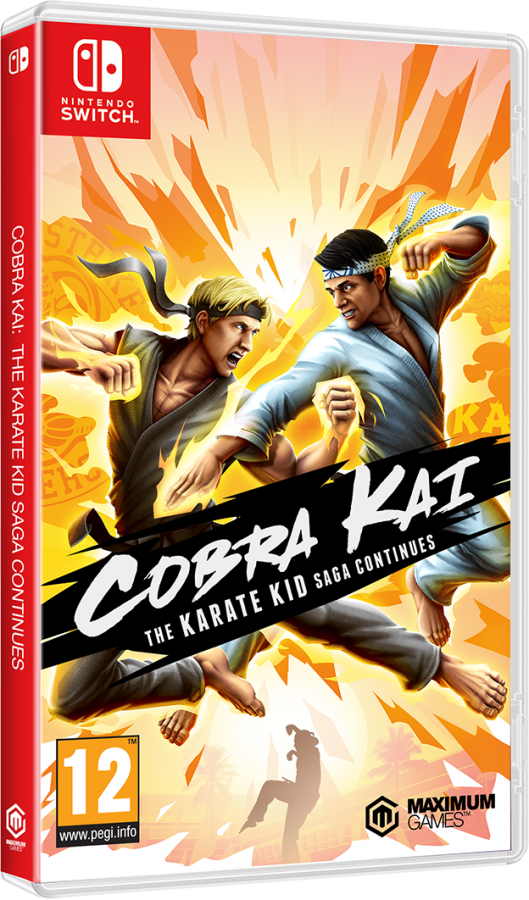 Cobra Kai: The Karate Kid Saga Continues Nintendo Switch  NEW